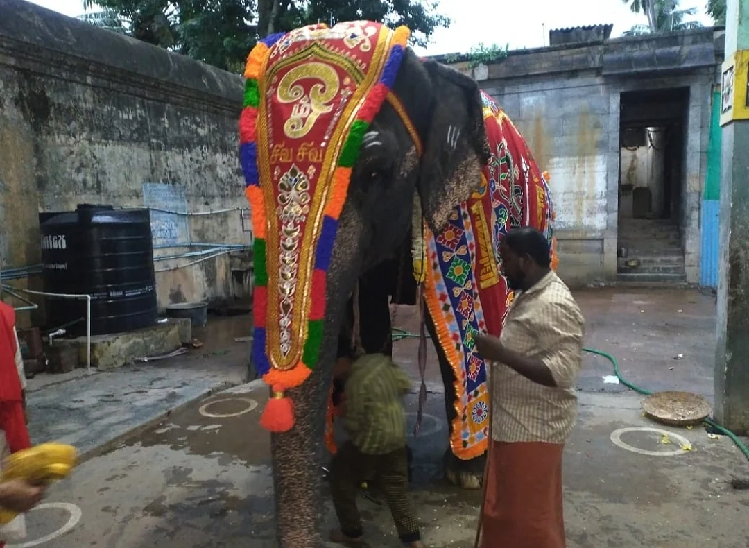 அபயாம்பிகை
