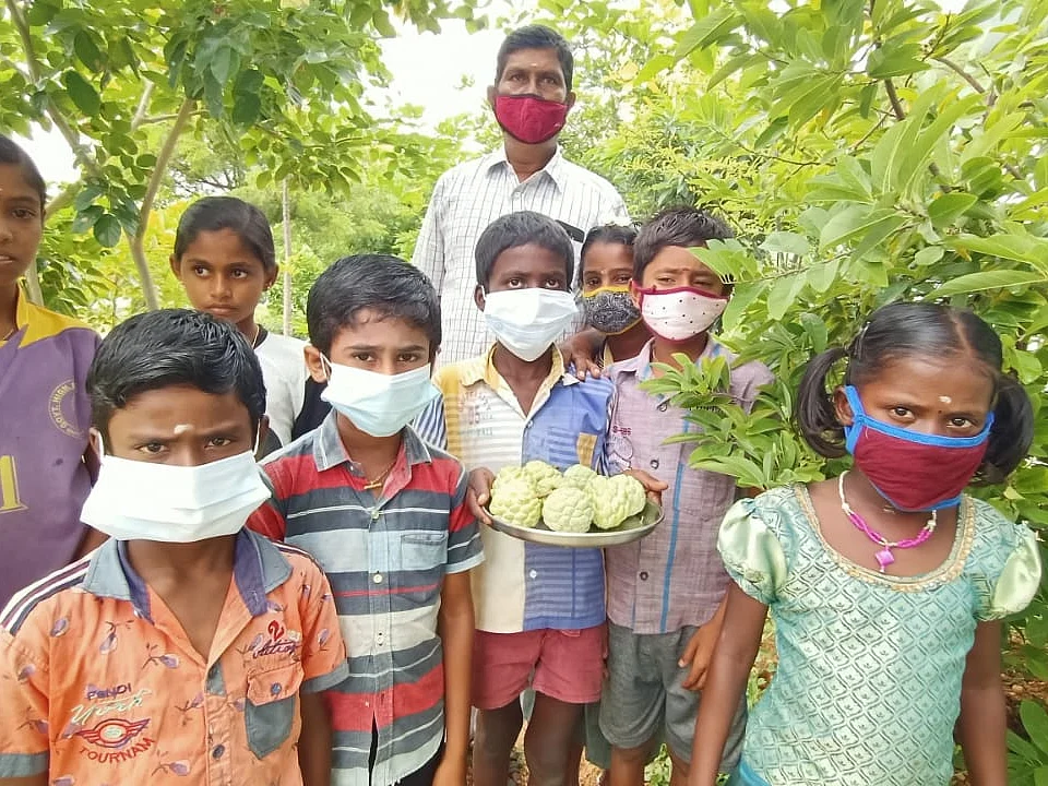 50 மாணவர்கள்; 116 மரங்கள்; அரசுப்பள்ளியில் மாணவர்களே உருவாக்கிய பழத்தோட்டம்!