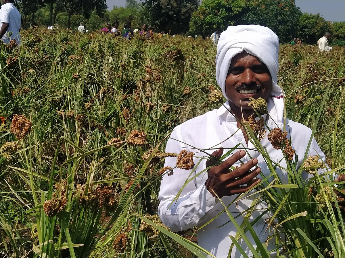 கேழ்வரகு வயலில் ஈஸ்வர கவுடா