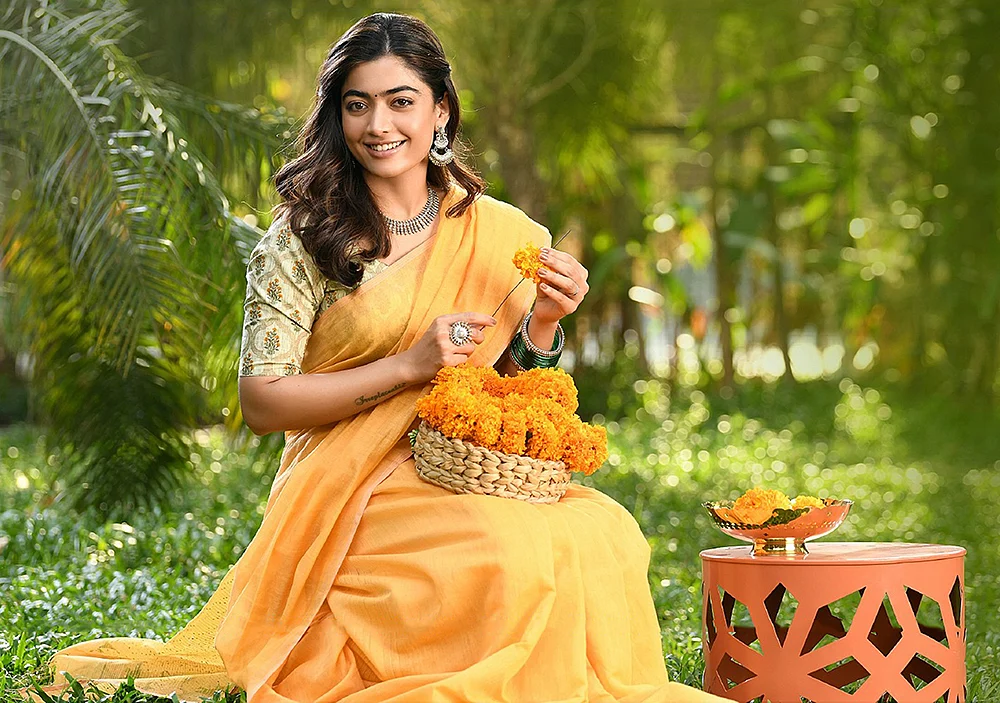 மிஸ்டர் மியாவ்