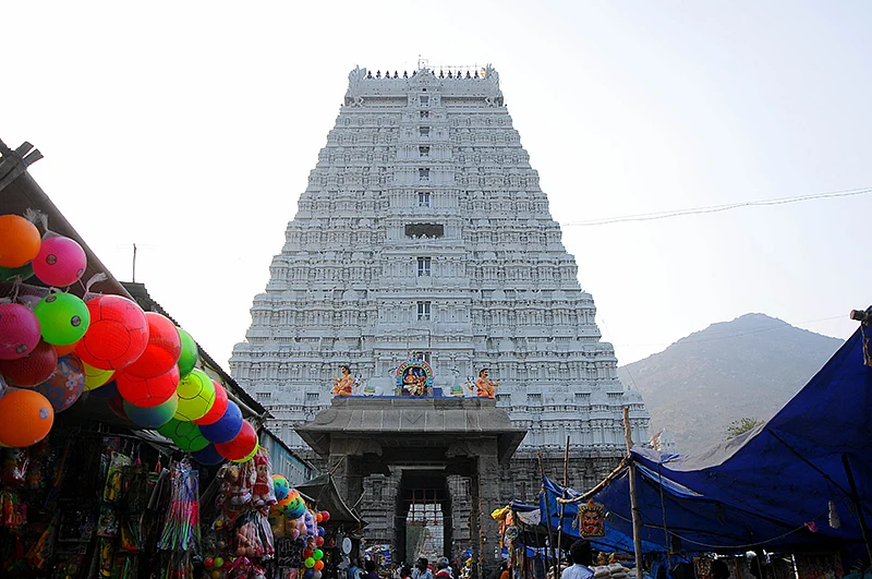 நல்லன எல்லாம் அருள்வாள்
கிரிவல நாயகி !
