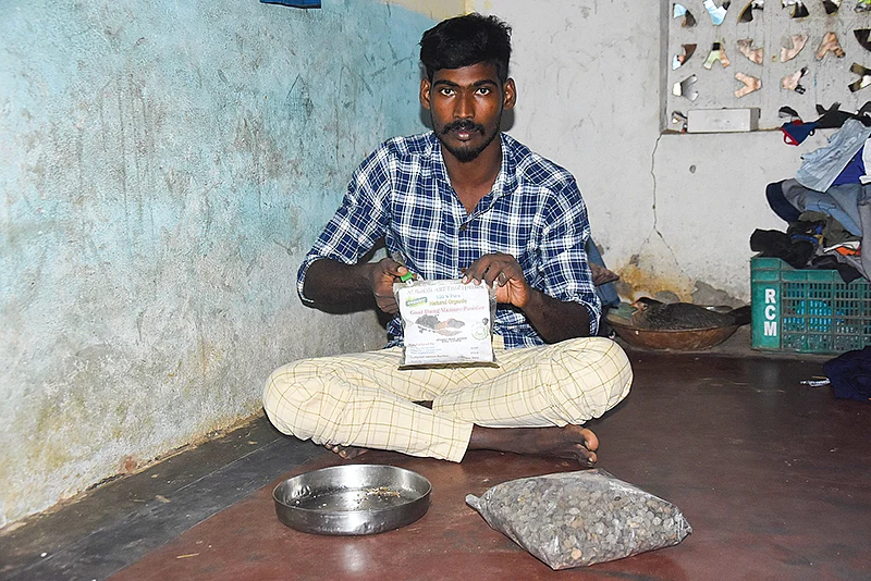 பேக்கிங்கில்