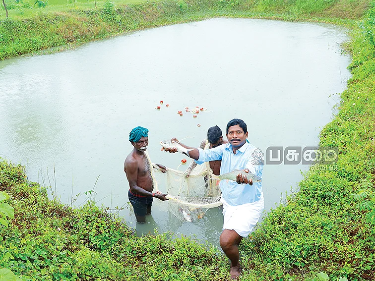 3 ஏக்கர், ரூ.4,58,000
மீன் வளர்ப்பில்
நிறைவான வருமானம்!