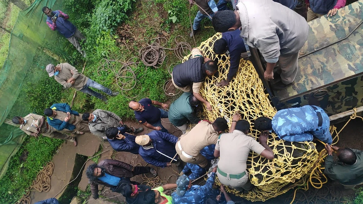 மீட்கப்படும் சிறுத்தை