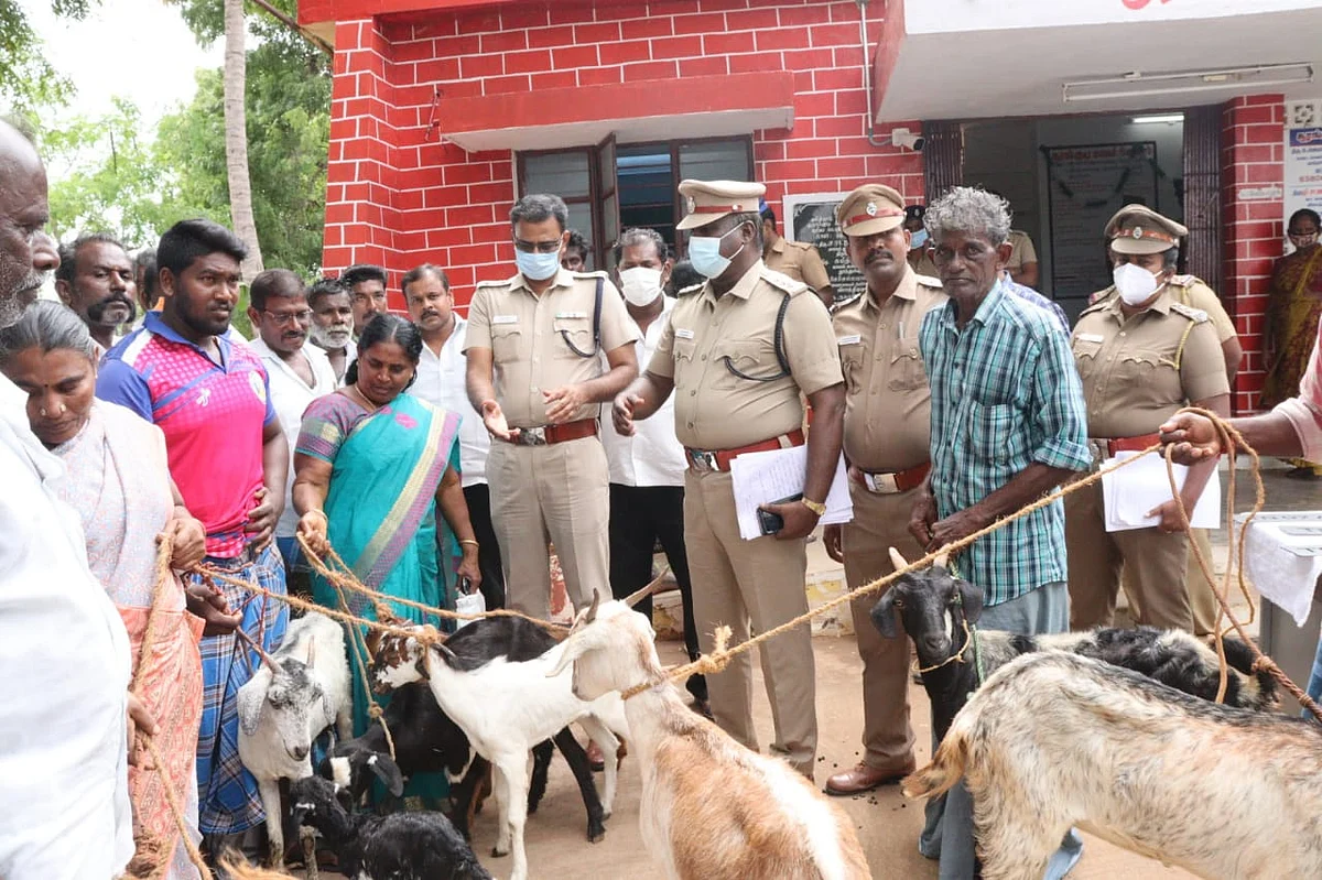 திருடப்பட்ட ஆடுகள்