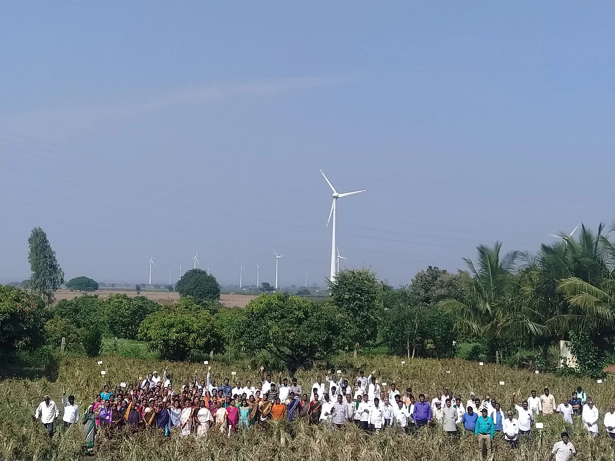 கேழ்வரகு களை விழாவில்