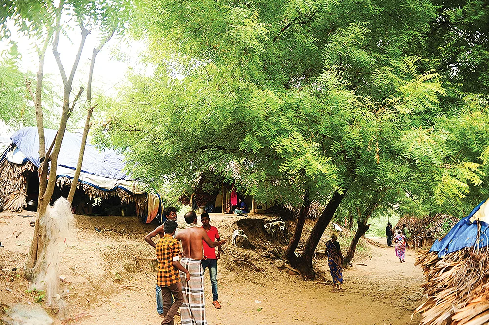 அஞ்சாஞ்சேரி இருளர் குடியிருப்பு