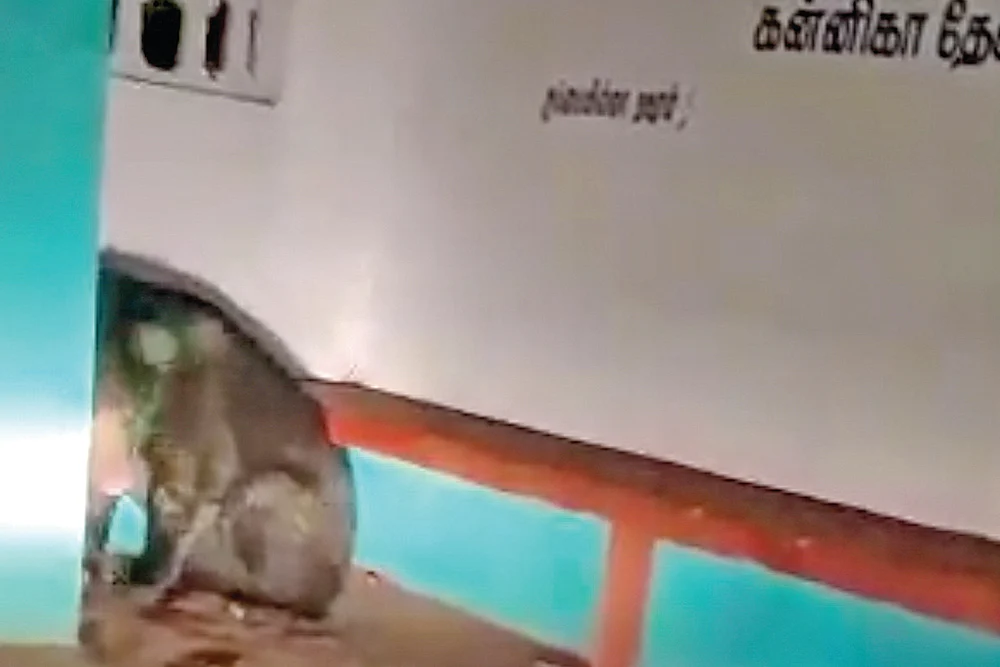 இன்பாக்ஸ்