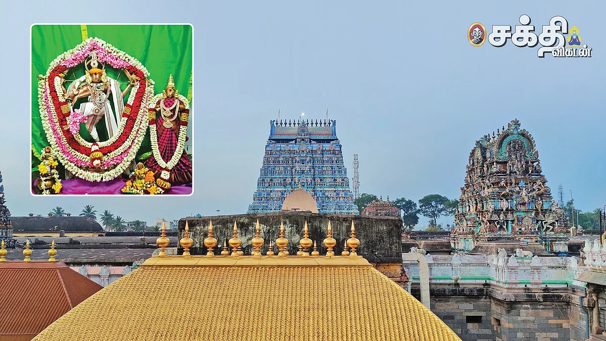 சிதம்பர தரிசனம்