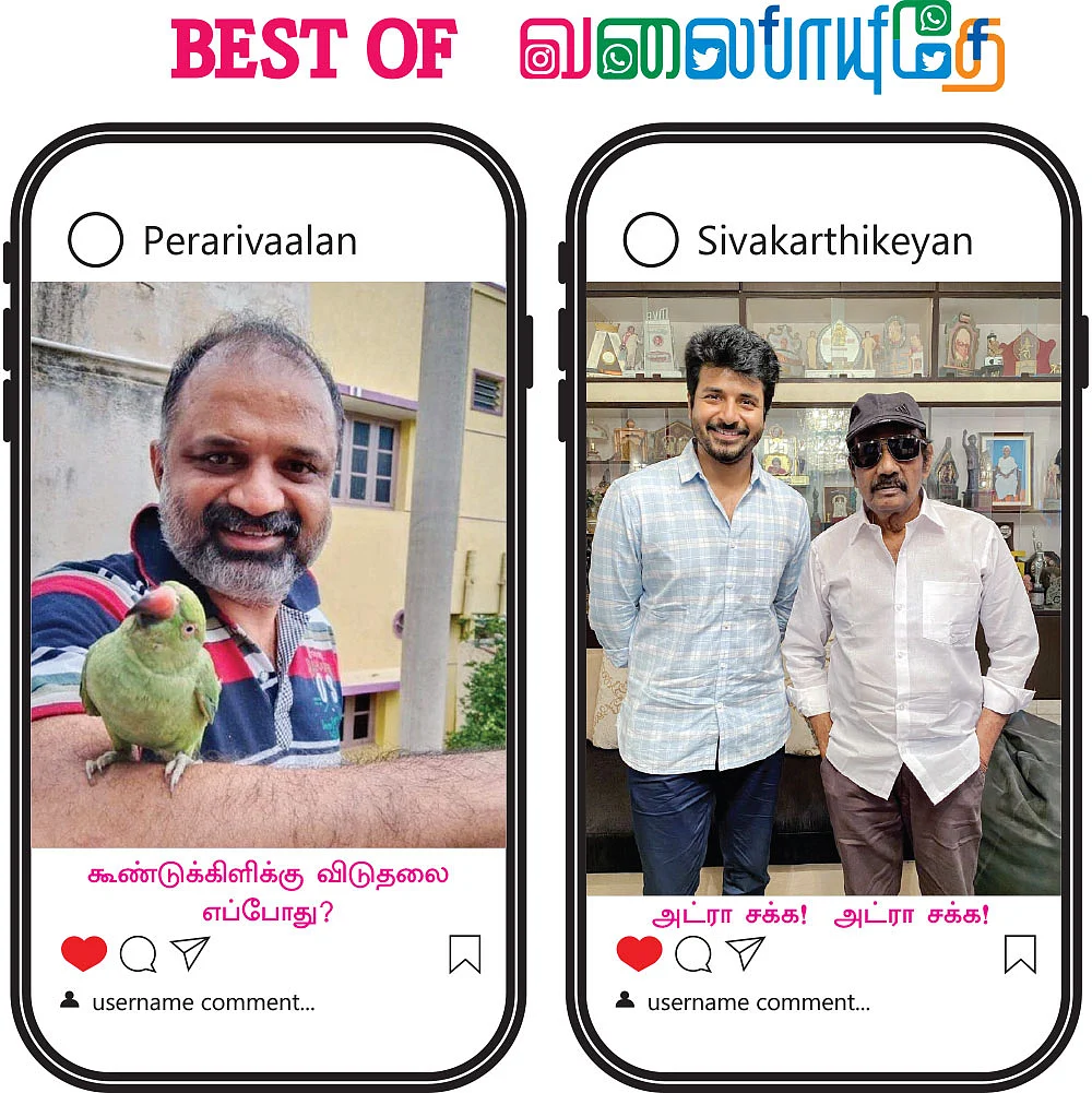 BEST OF வலைபாயுதே