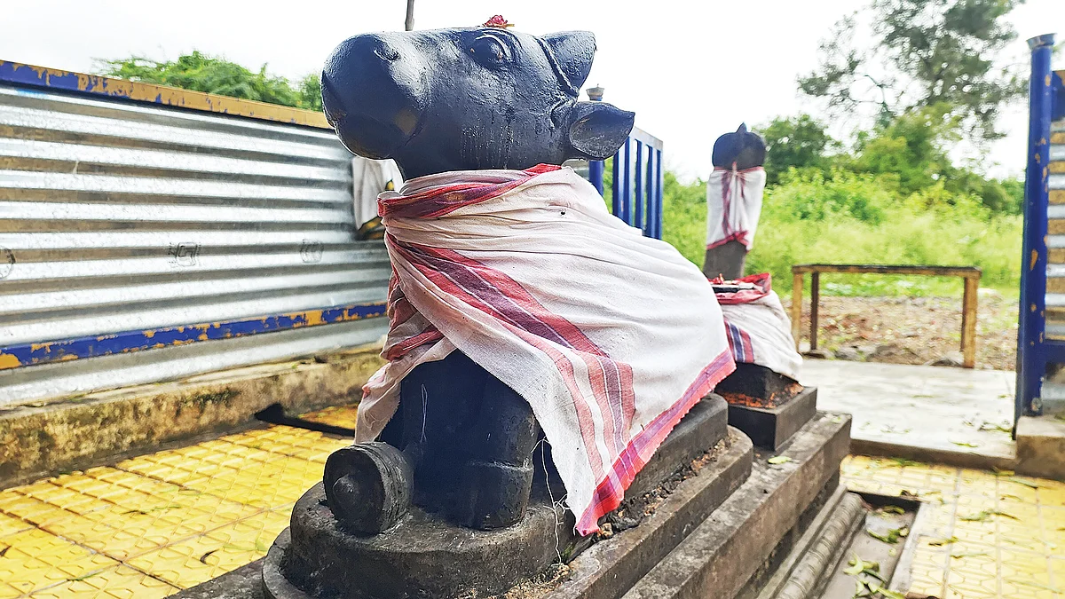 நந்தி