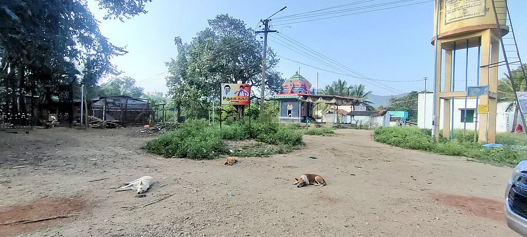 சீங்குளி