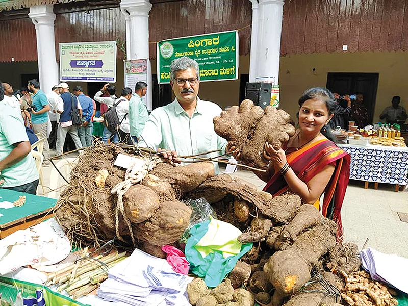 கிழங்குகளுடன்