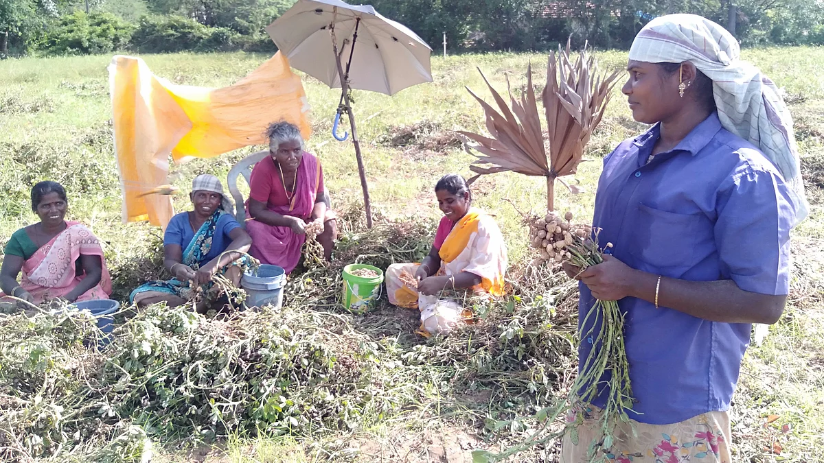 veppankulam