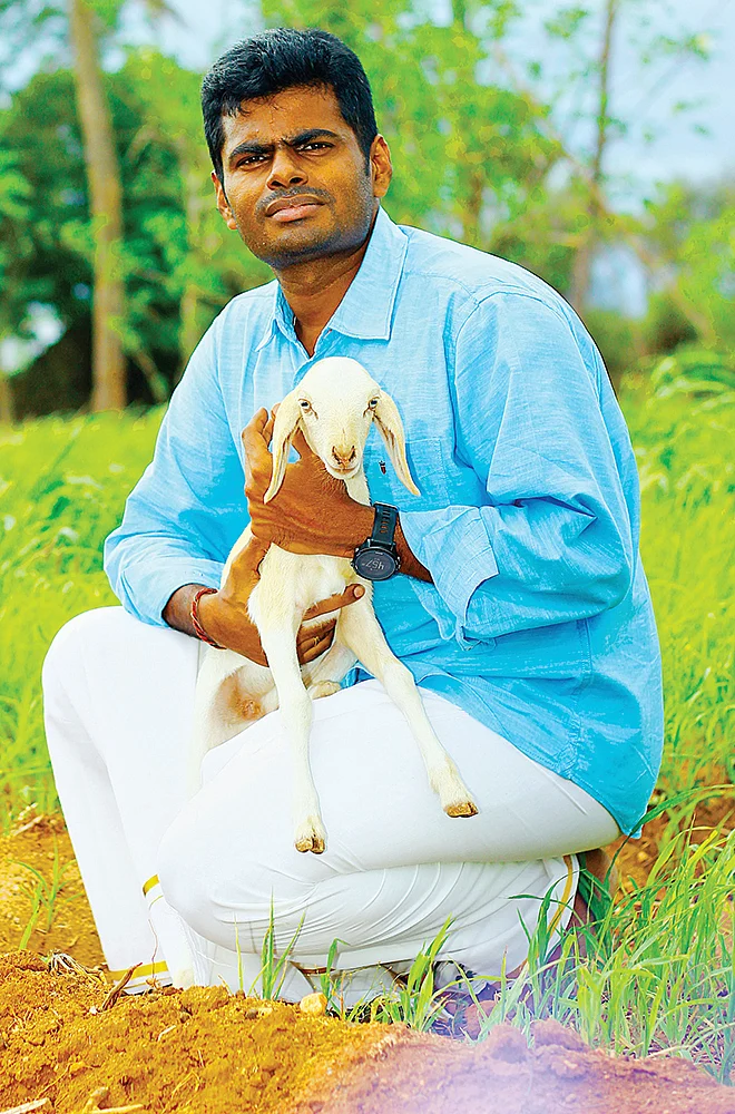 பல்ப் வாங்கலையோ... பல்ப்! - தமிழக பா.ஜ.க பரிதாபங்கள்!