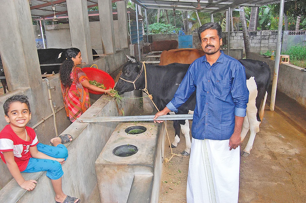 பண்ணையில்