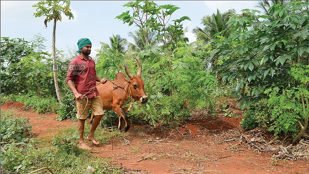பண்ணையில் செந்தில் குமரன்