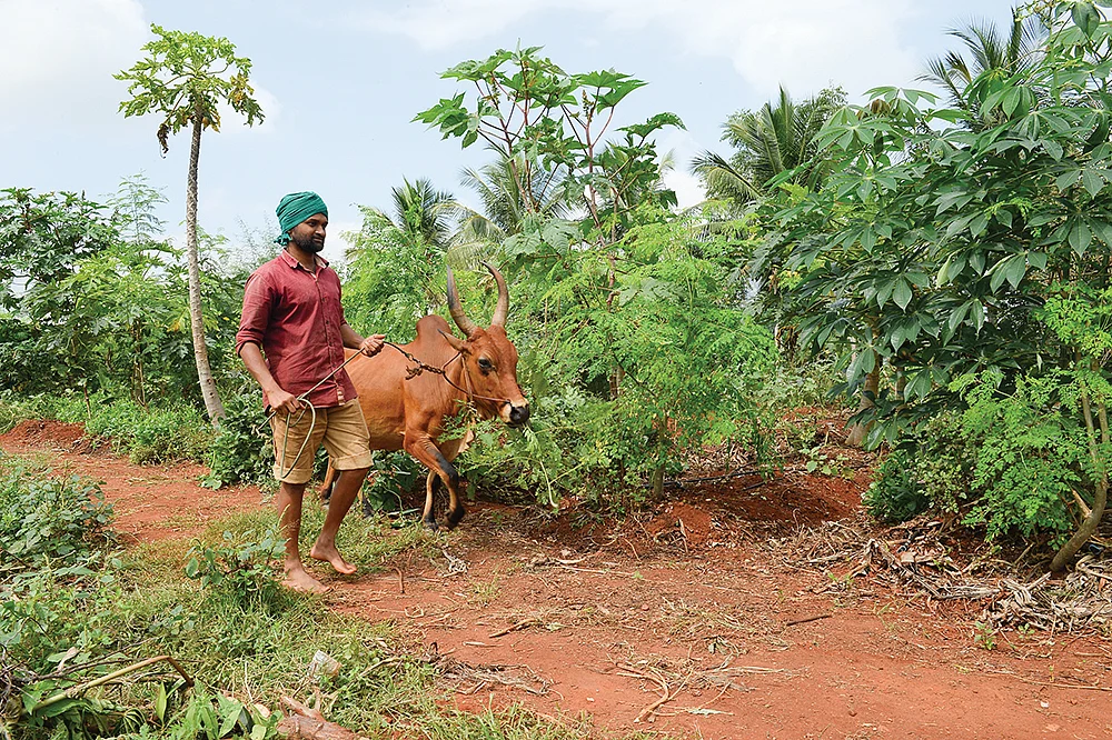 பண்ணையில் செந்தில் குமரன்