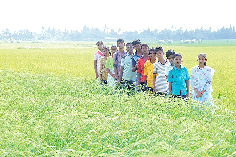 விவசாயம் கற்கும் மாணவர்கள்