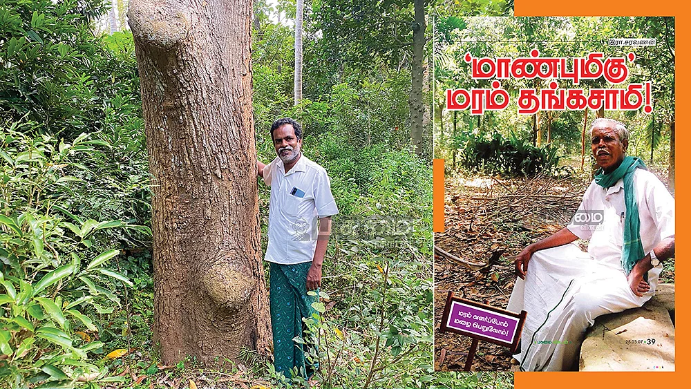 மறுபயணம்
