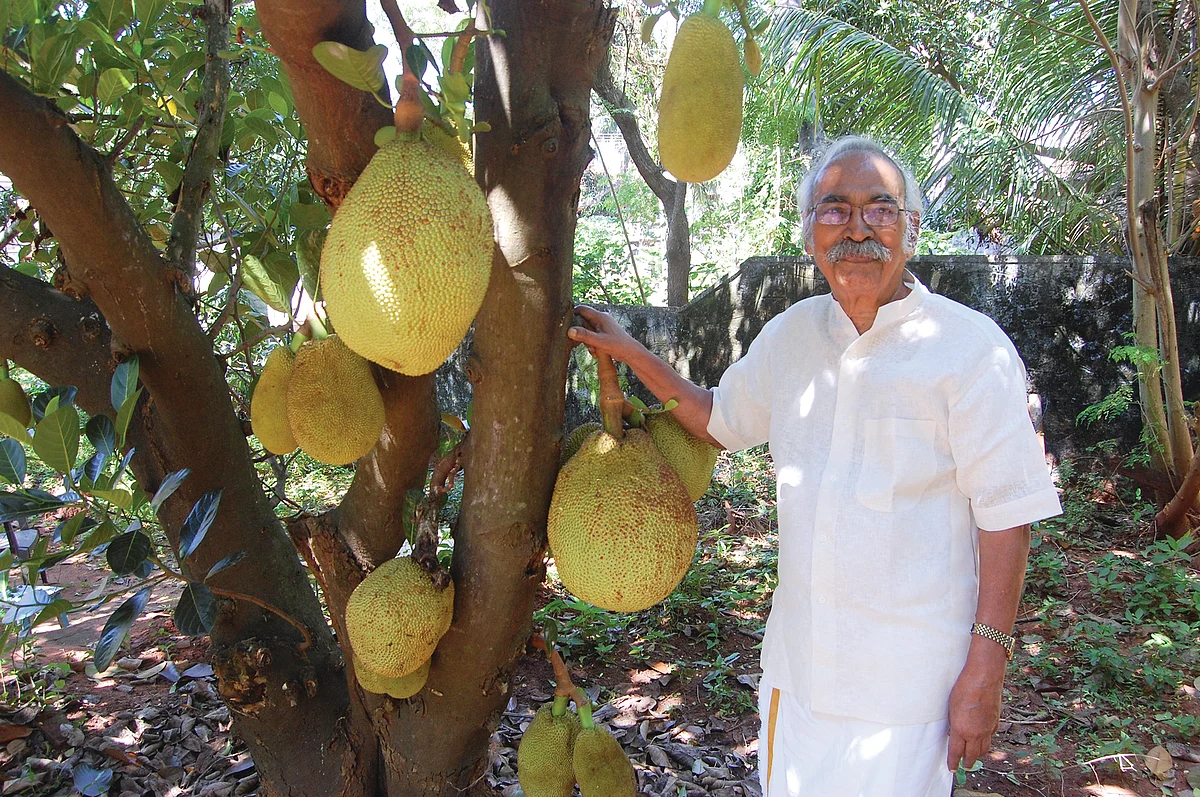 தோட்டத்தில்