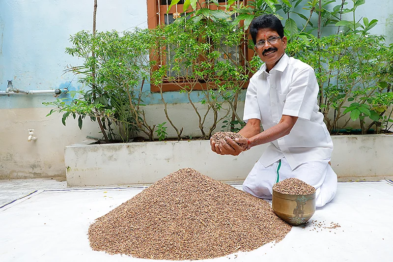 நெல்லுடன்