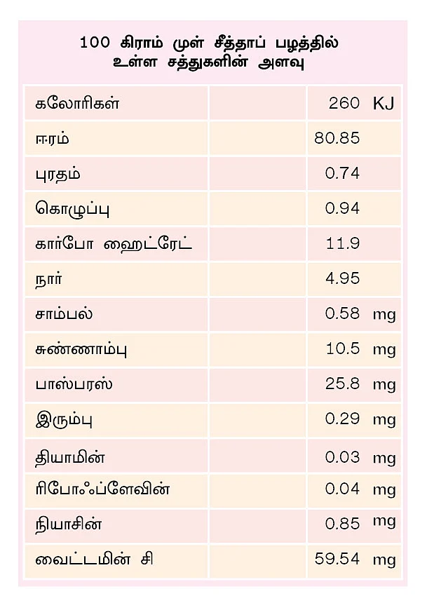 அட்டவணை