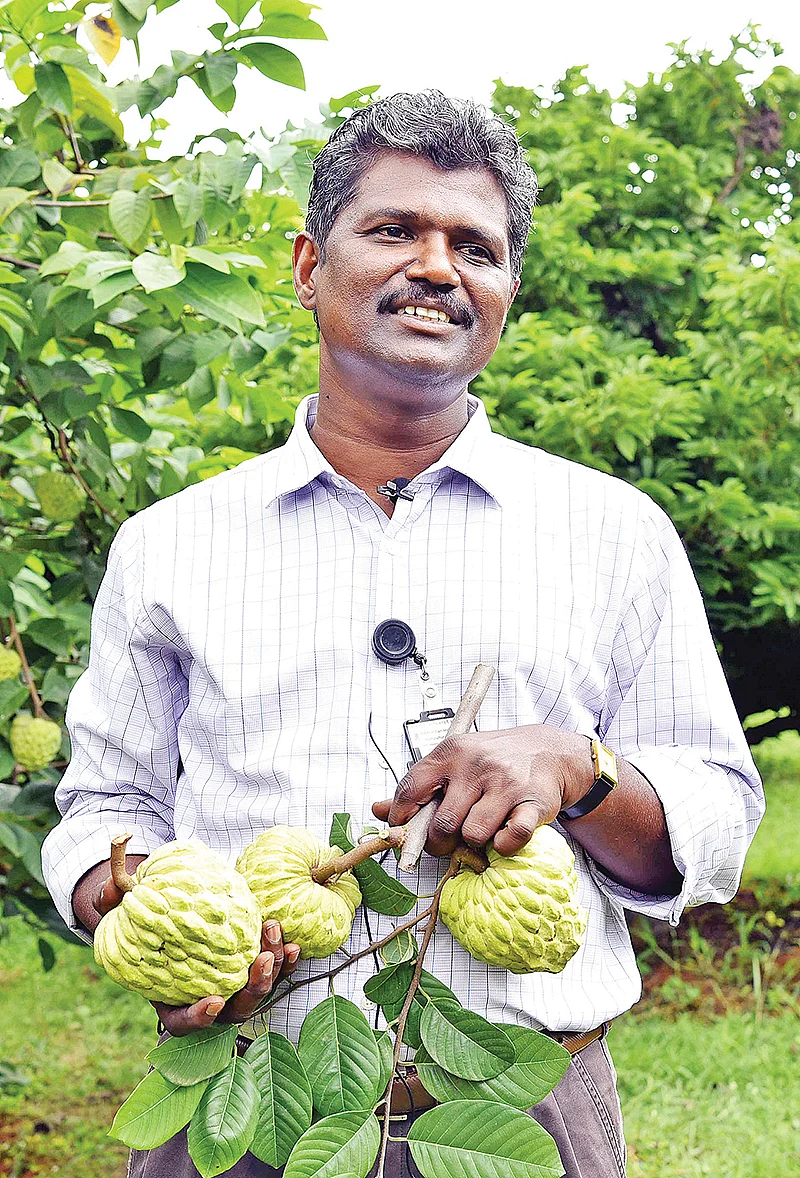 முனைவர் சக்திவேல்