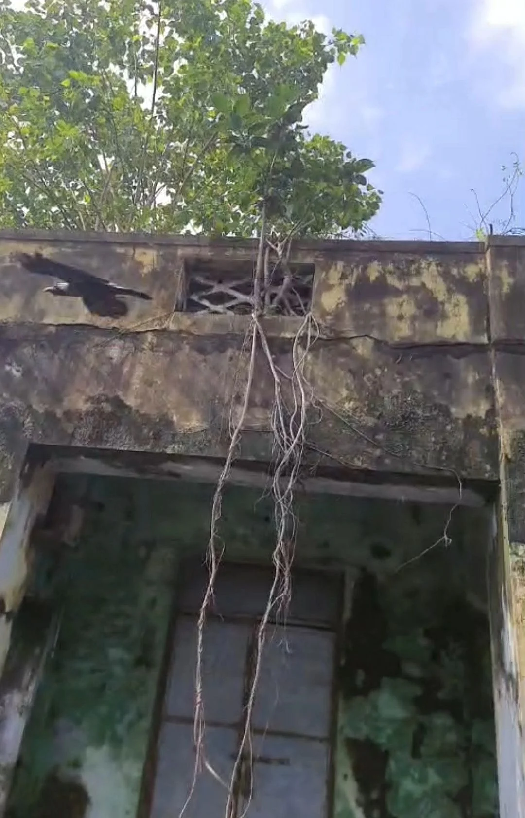 சிதிலமடைந்த மீஞ்சூர் அரசு வேளாண்மை கட்டடம்