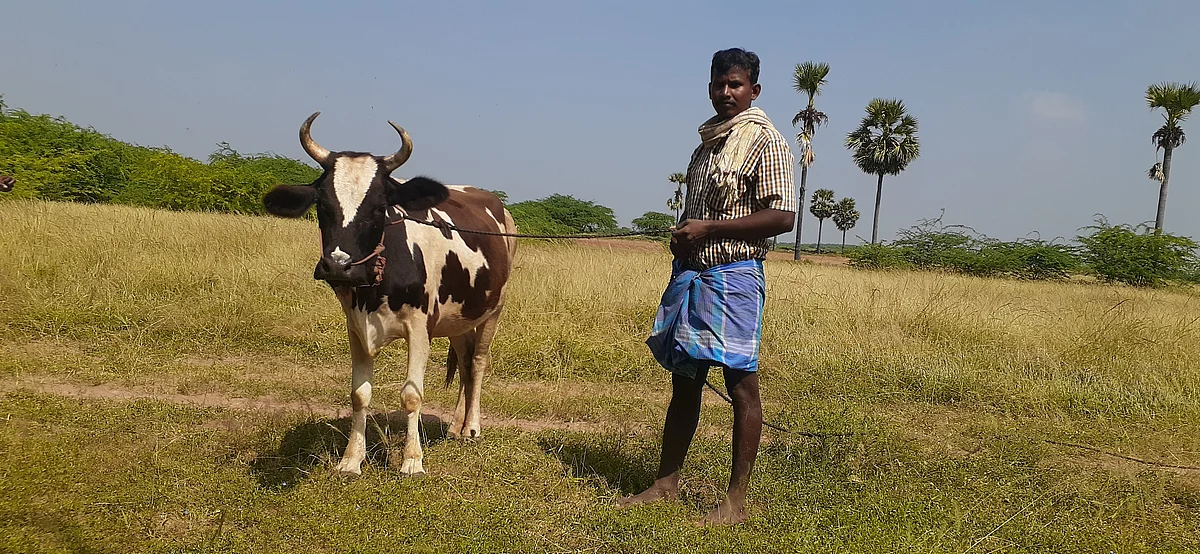 கல்லத்திகுளம்