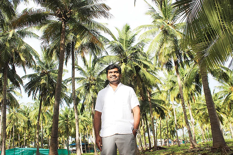 தென்னந்தோட்டத்தில்