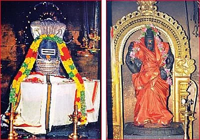 ஆம்ரவனேஸ்வரர், பாலாம்பிகை