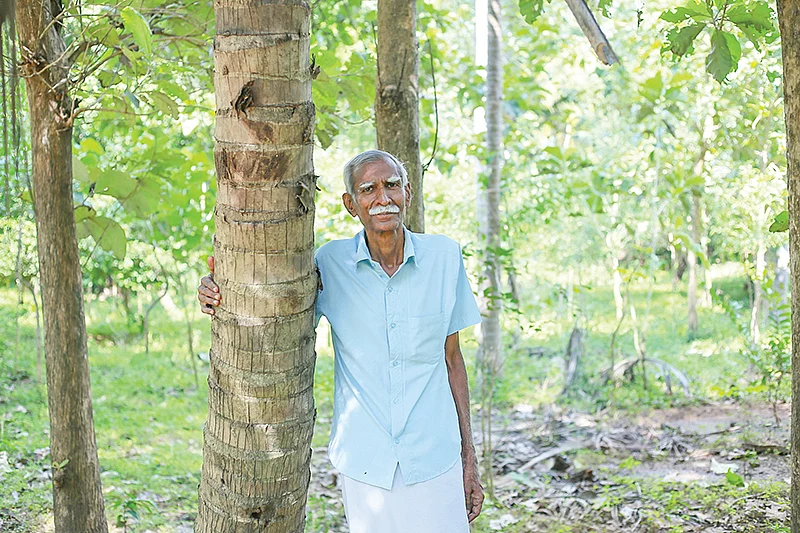 இசைமணி
