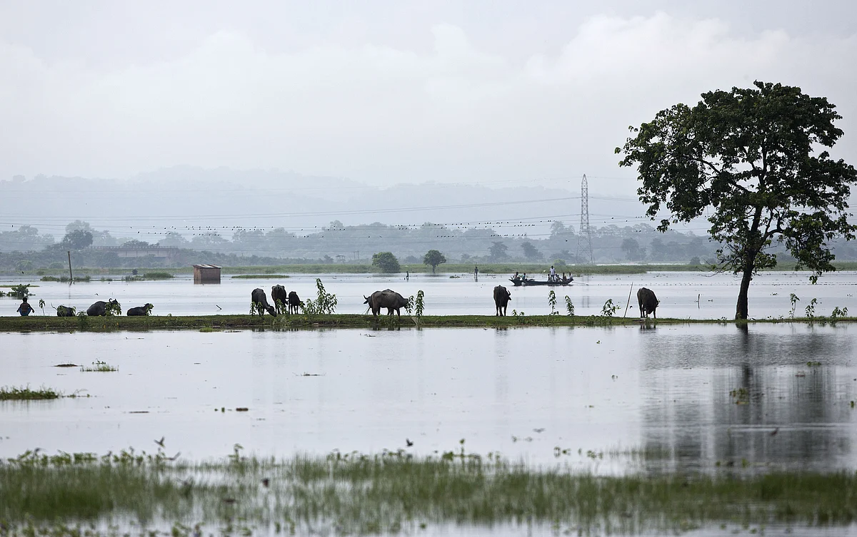 மழை வெள்ளம் (கோப்பு படம்)