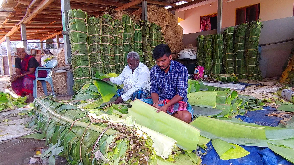 இலை வெட்டும் தயாளன்