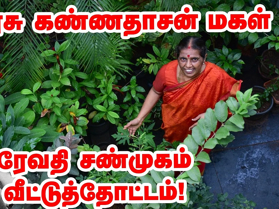கவிஞர் கண்ணதாசன் மகள் வீட்டுத்தோட்டம்! | Kaviyarasu Kannadasan's daughter home garden tour