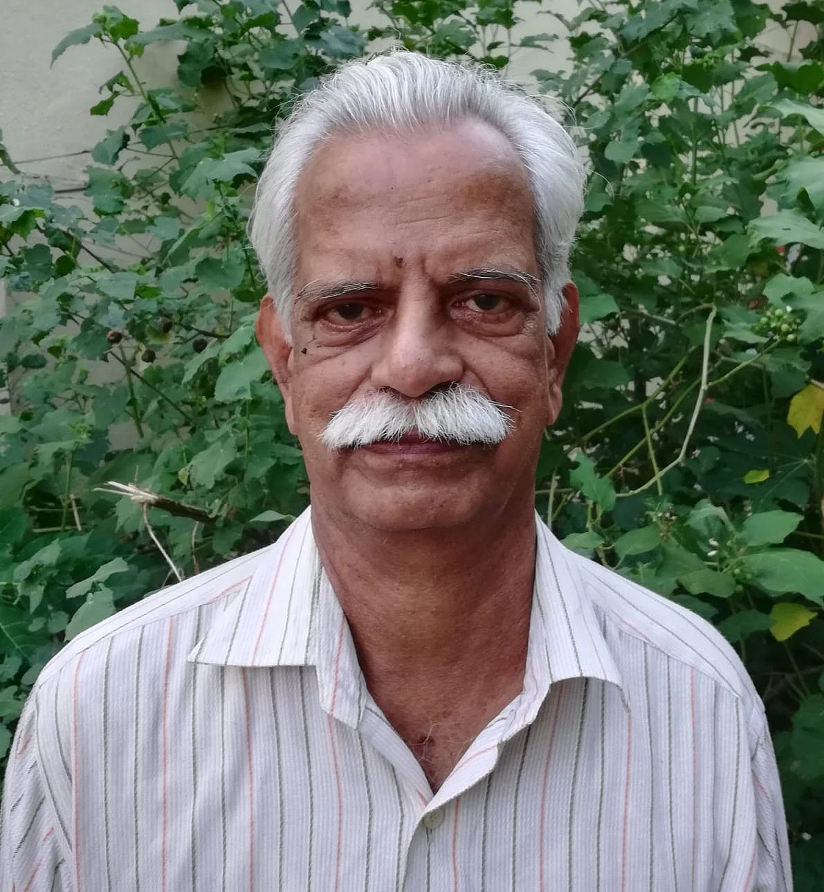 மறைமலை இலக்குவனார்