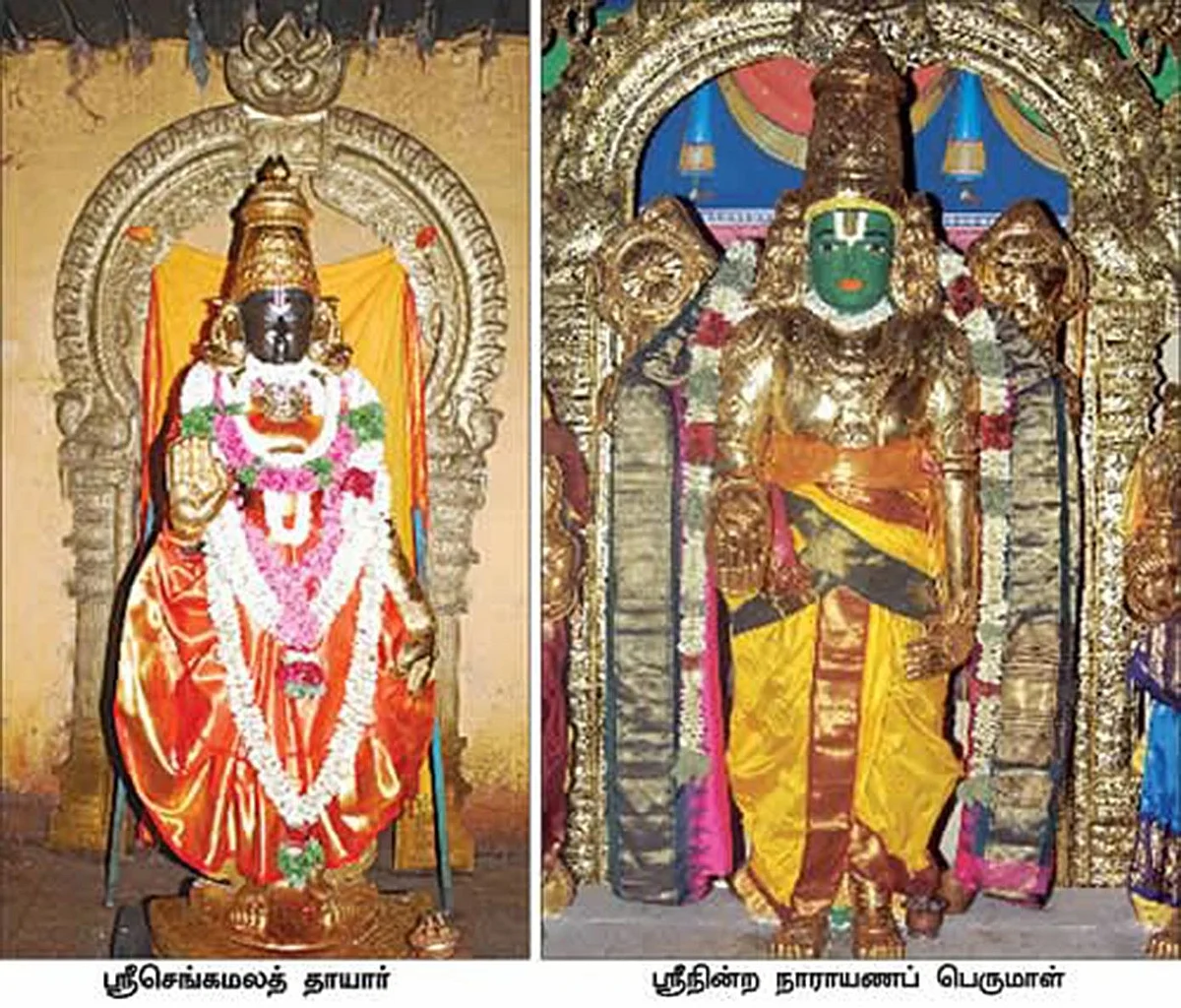 அன்னம்ம நாயகி