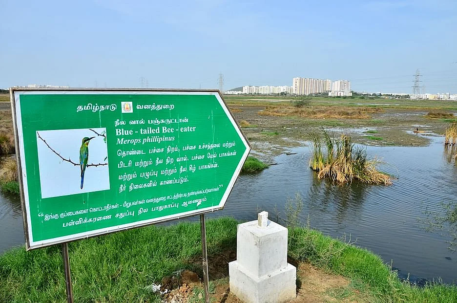 சதுப்பு நிலம் (கோப்பு படம்)