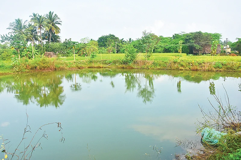 மீன் குளம்