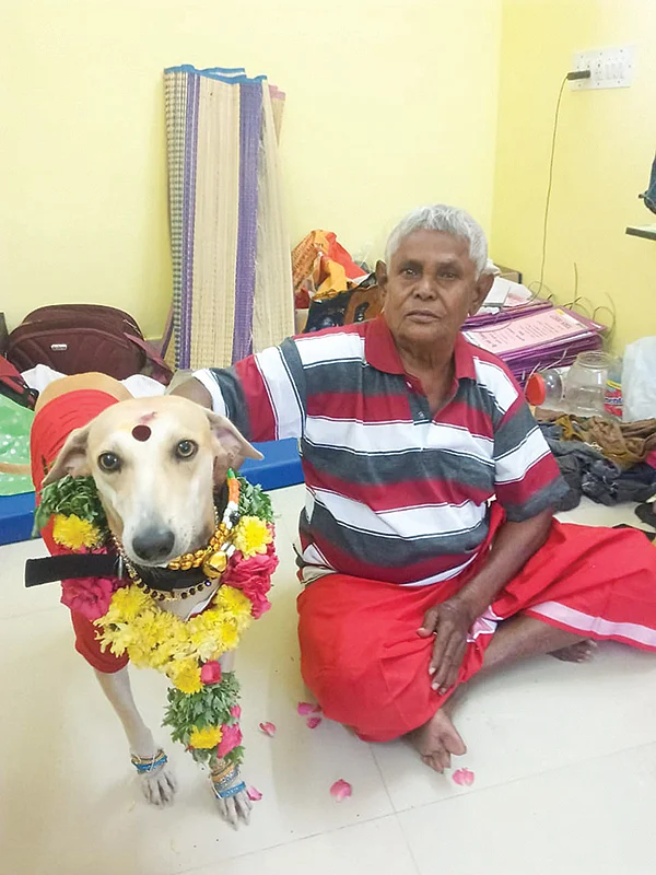 இன்பாக்ஸ்