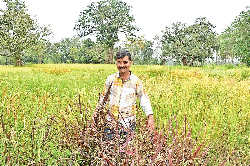 சையது கனி கான்