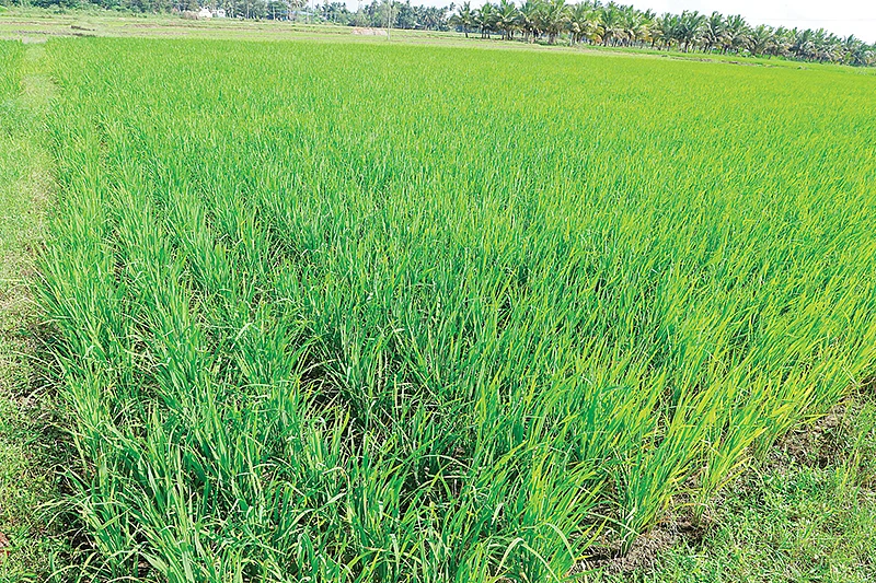 திருப்பதிசாரம்