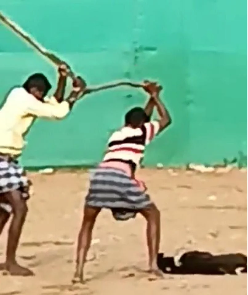 நாயைத் தாக்கும் காட்சி