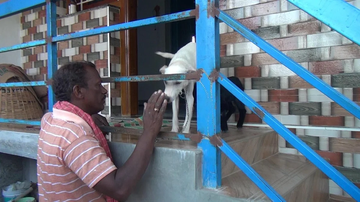 பெருமாள்சாமி