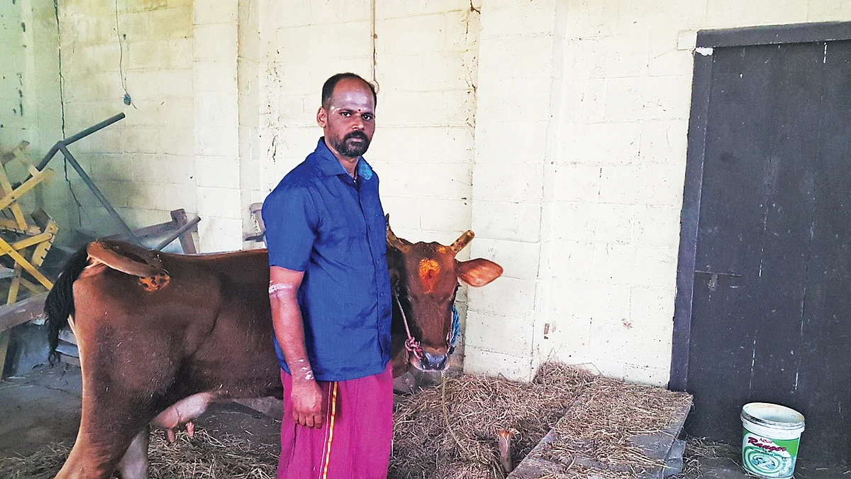 கீரைசாத்து நாகராஜ்