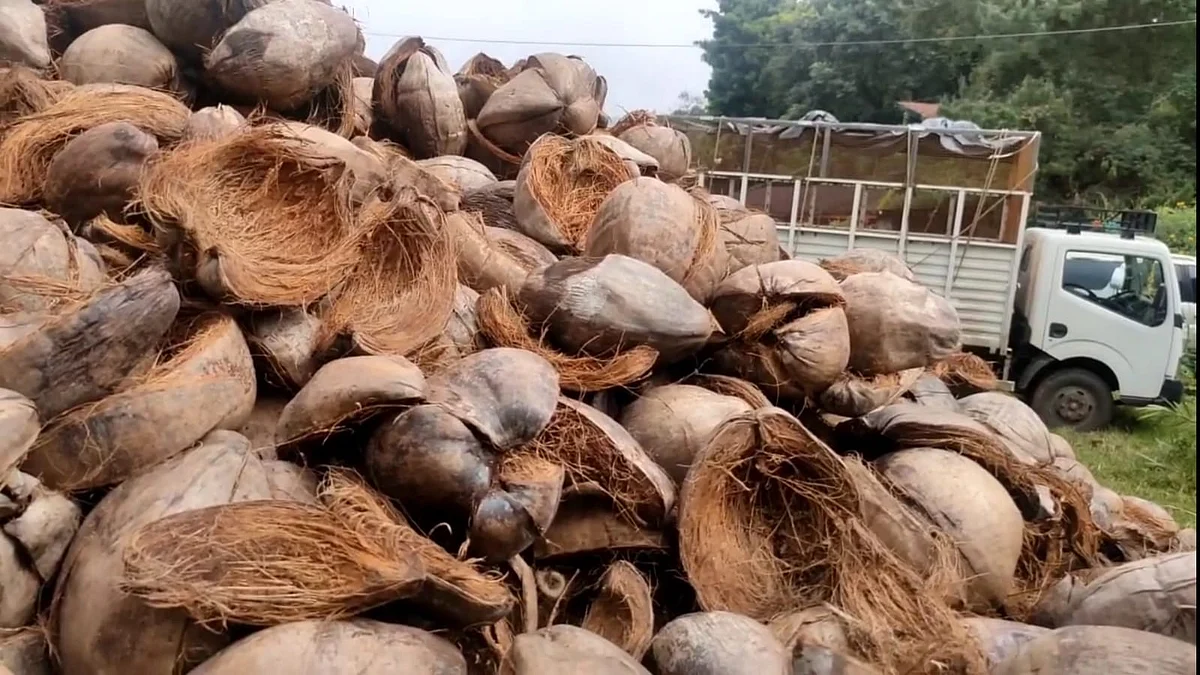 தேங்காய் மட்டைகளுக்குள் கடத்திவரப்பட்ட 75 மூட்டை புகையிலைப் பொருள்கள்