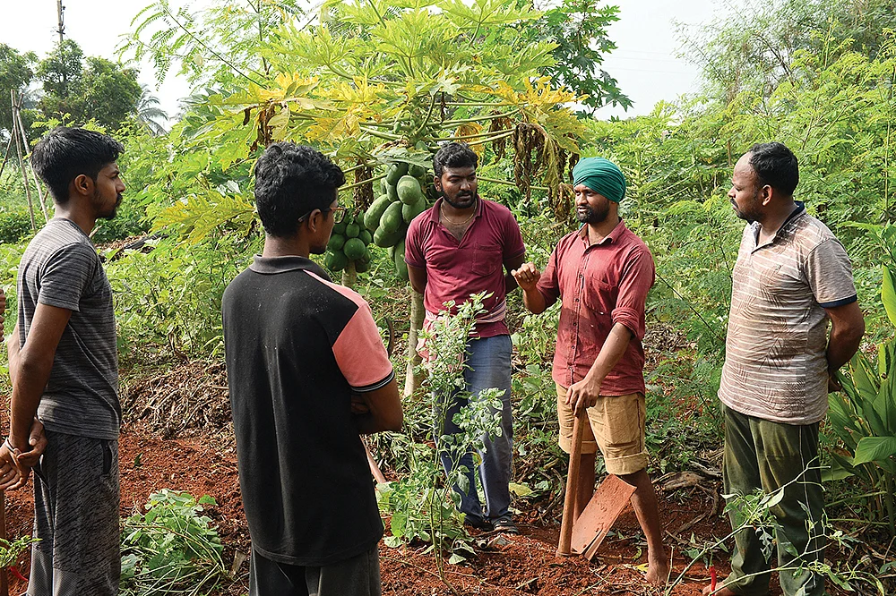 பயிற்சியில்