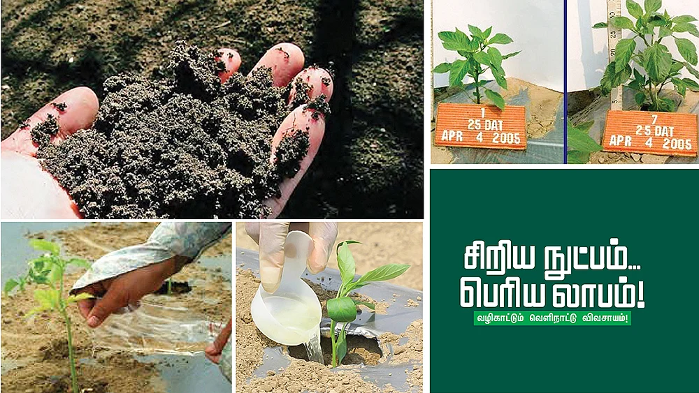 வெளிநாட்டு விவசாயம்