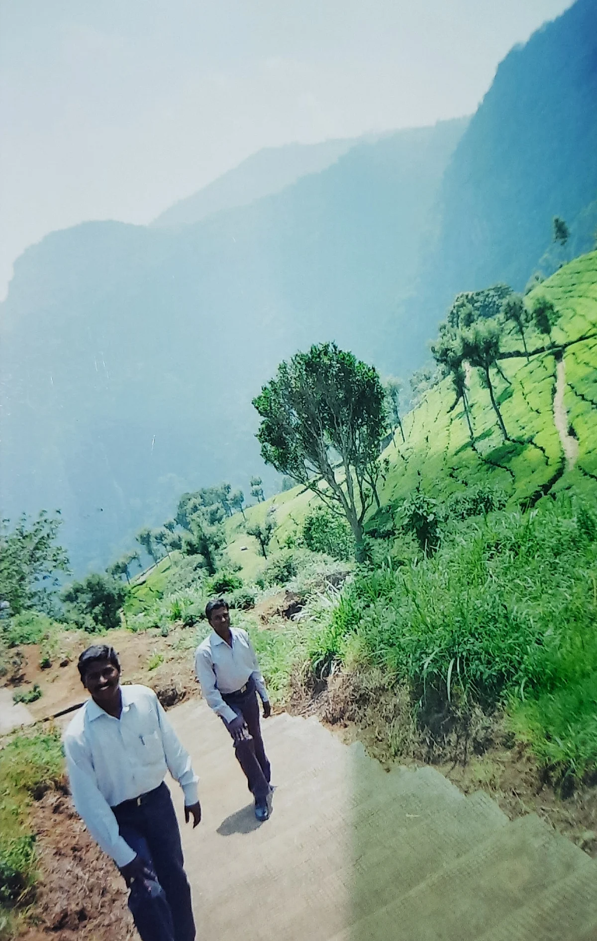 ஆனைப்பள்ளம்